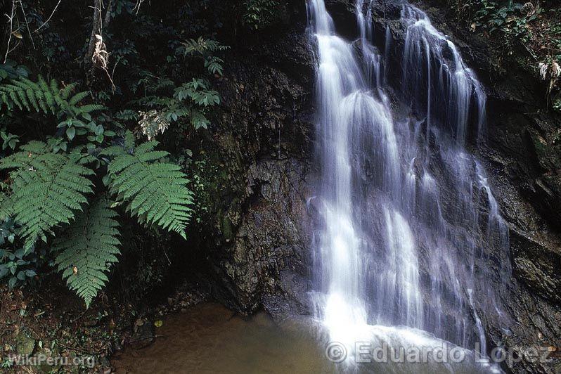 Chutes d'eau  Moyobamba