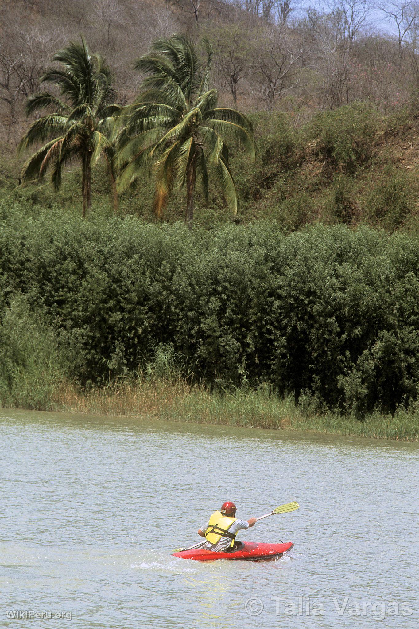 Kayak dans le Ro Tumbes