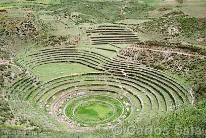 Cultures en terrasses  Moray