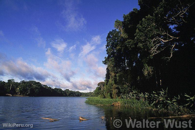 Fort amazonienne