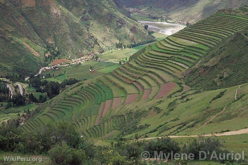 Terrasses de Pisac