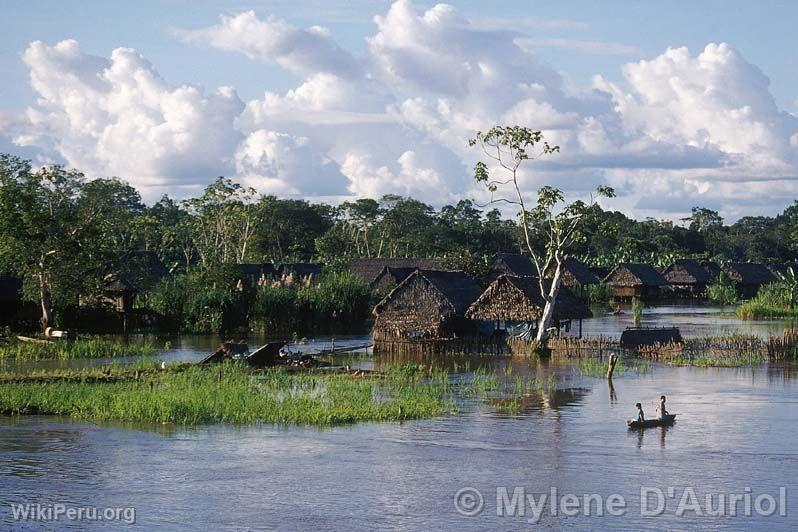 Fleuve amazonien