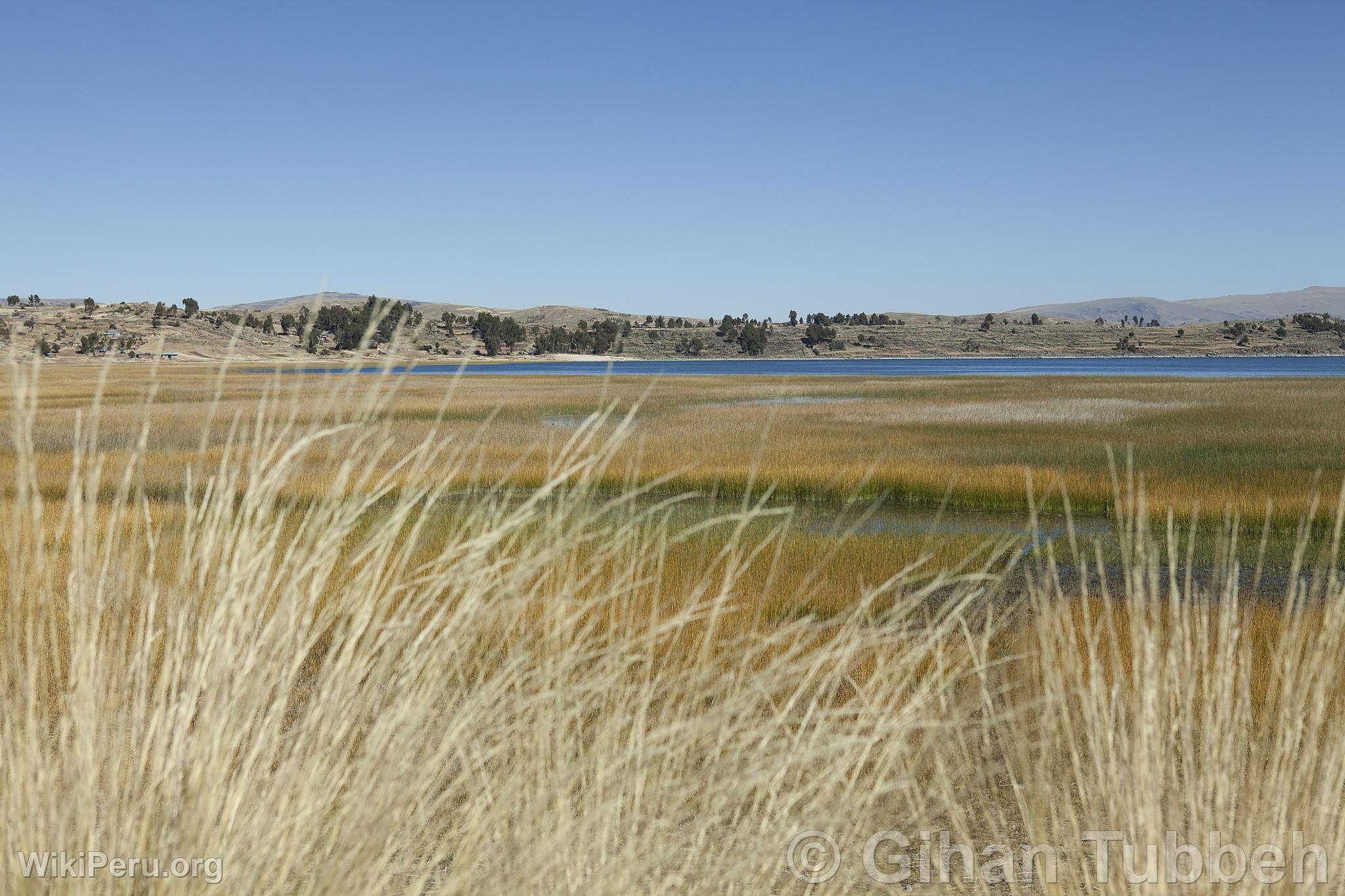 Lac Titicaca