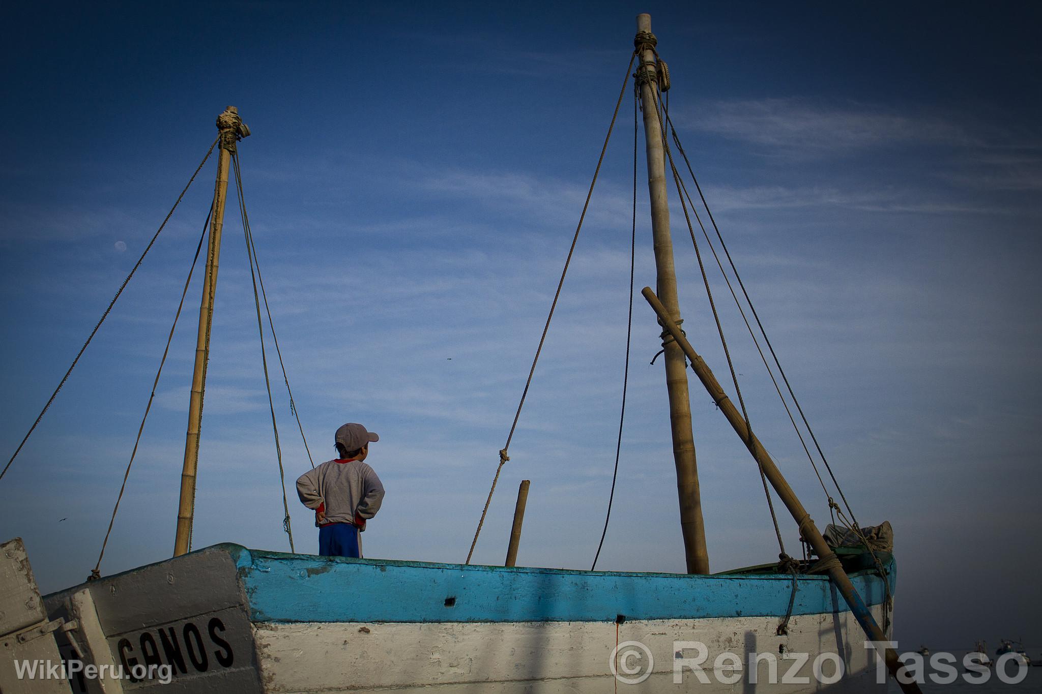 Bateau  Los rganos