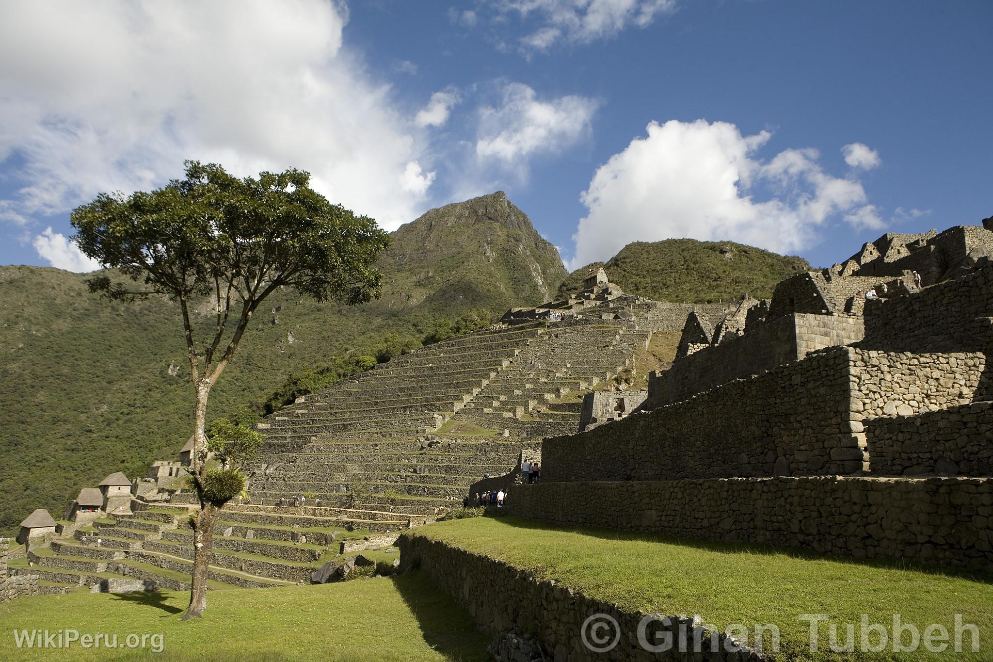 Citadelle de Machu Picchu