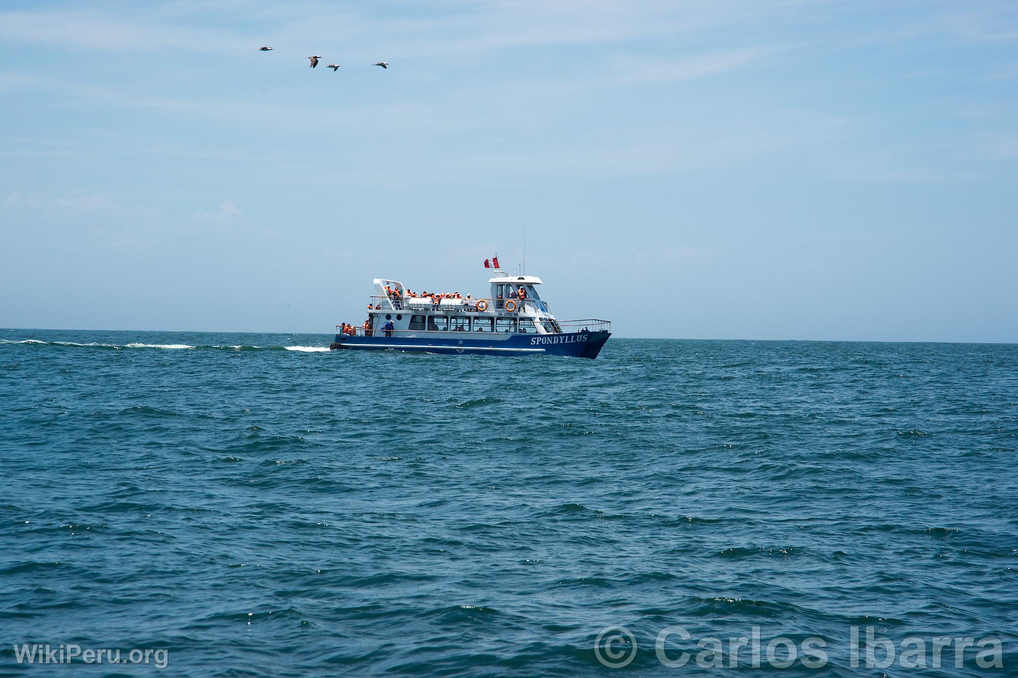 Yacht avec touristes aux les Palomino, Callao