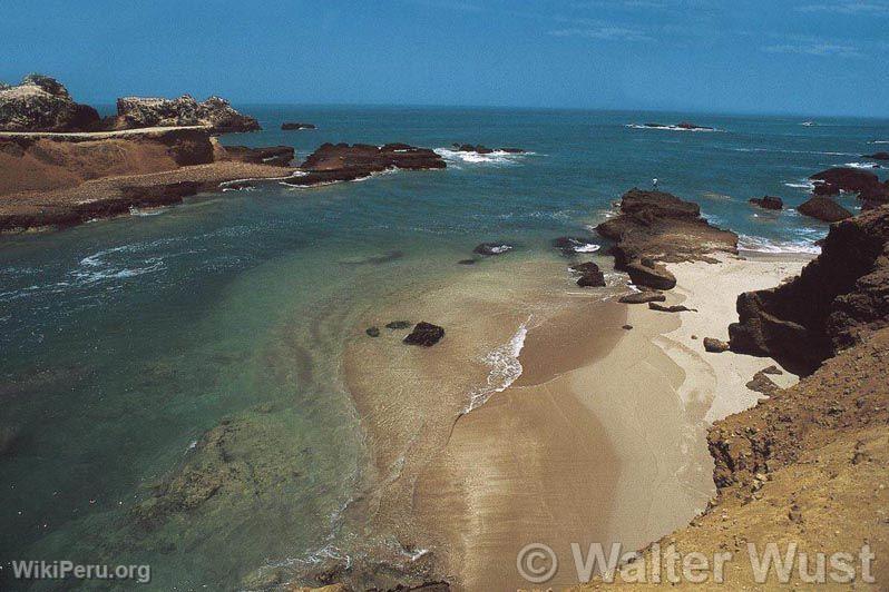 Tambourinaire, Huarmey