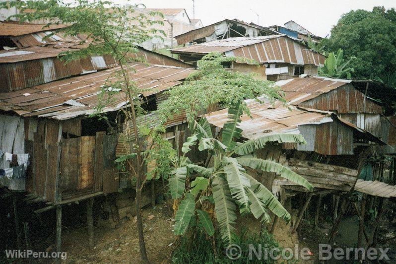 Quartier marginal, Nauta