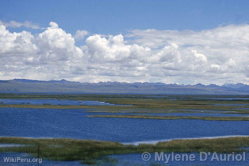 Lac Junn