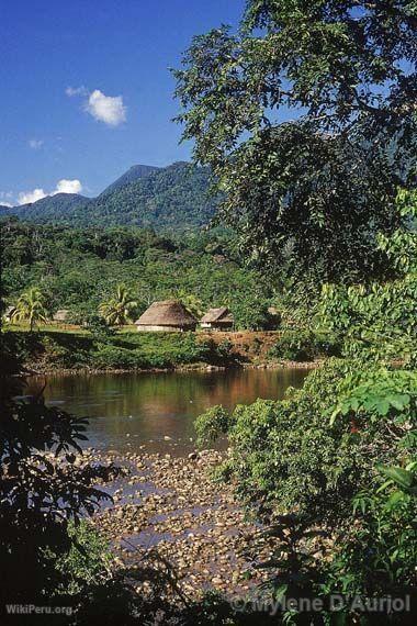 Collines dans la jungle de Loreto