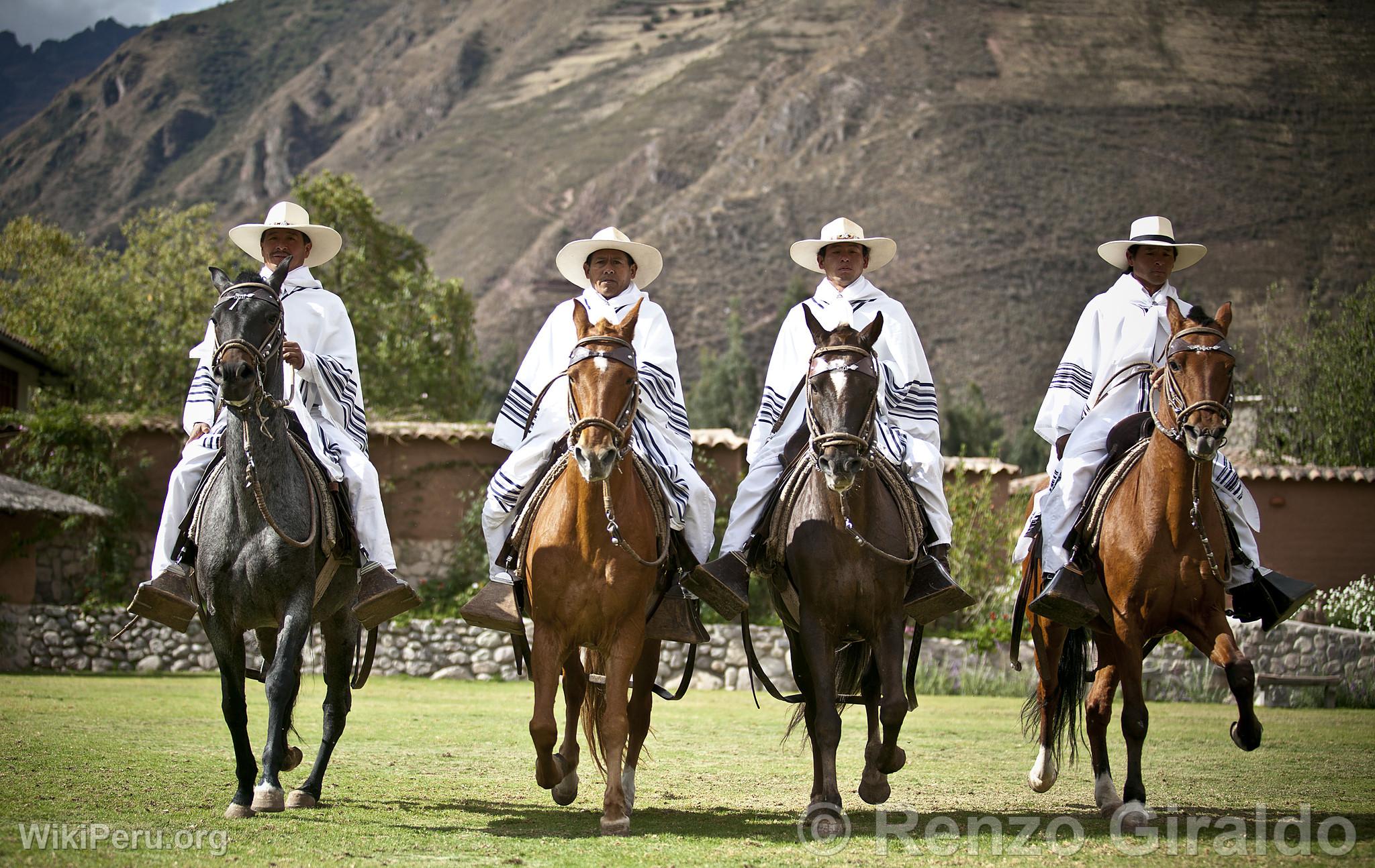 Chevaux de pas