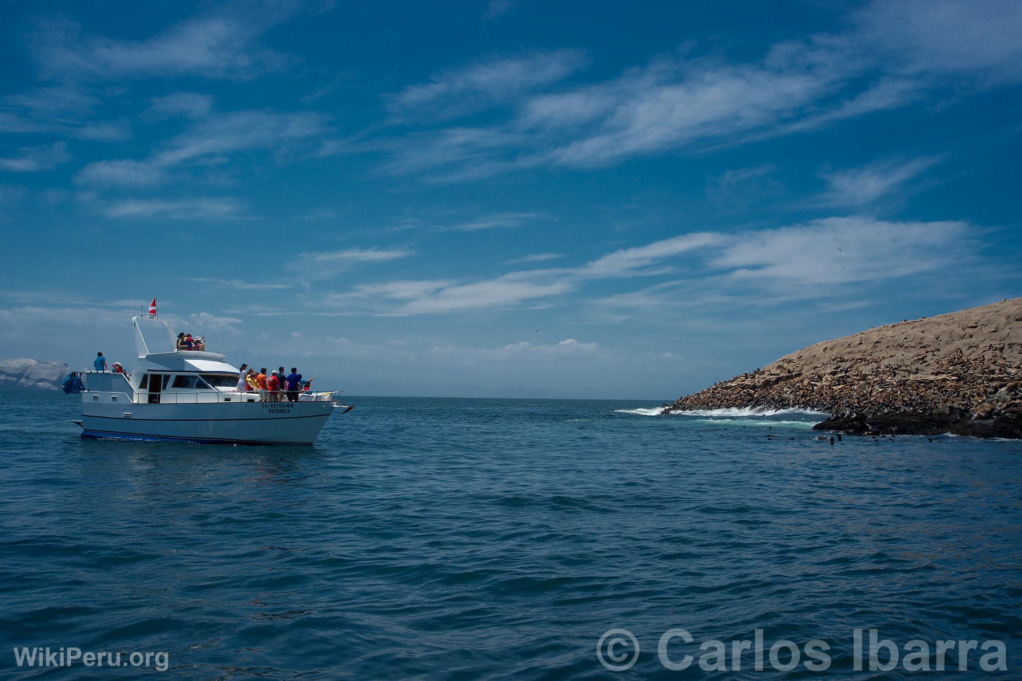 Yacht avec touristes aux les Palomino, Callao