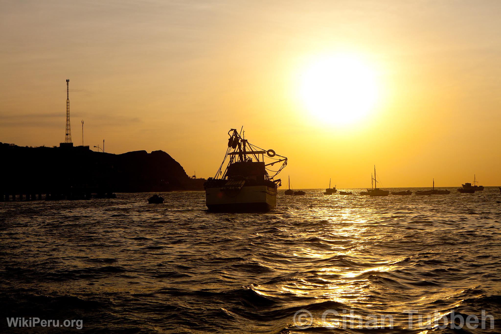 Bateau  Los rganos