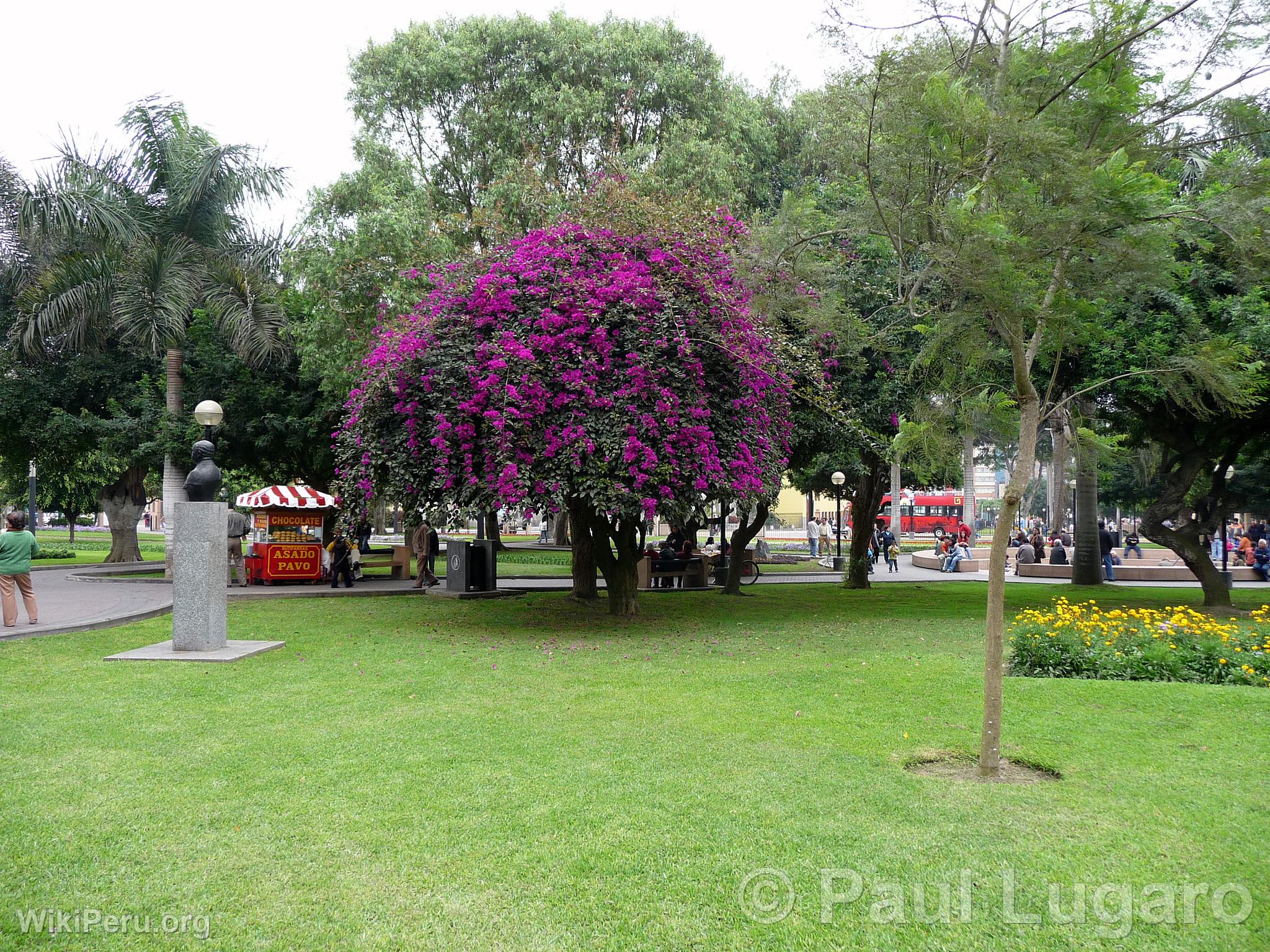 Parc Kennedy, Lima