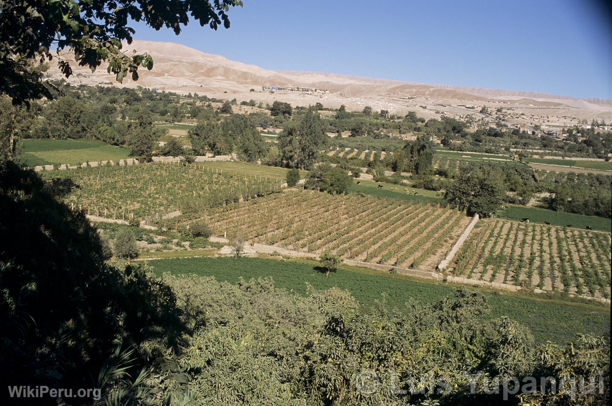 Campagne de Torata