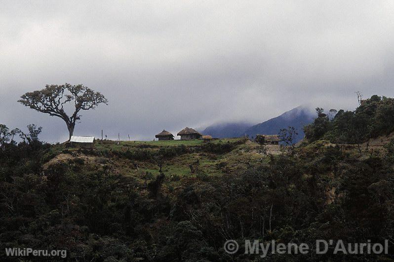 Fort de nuages