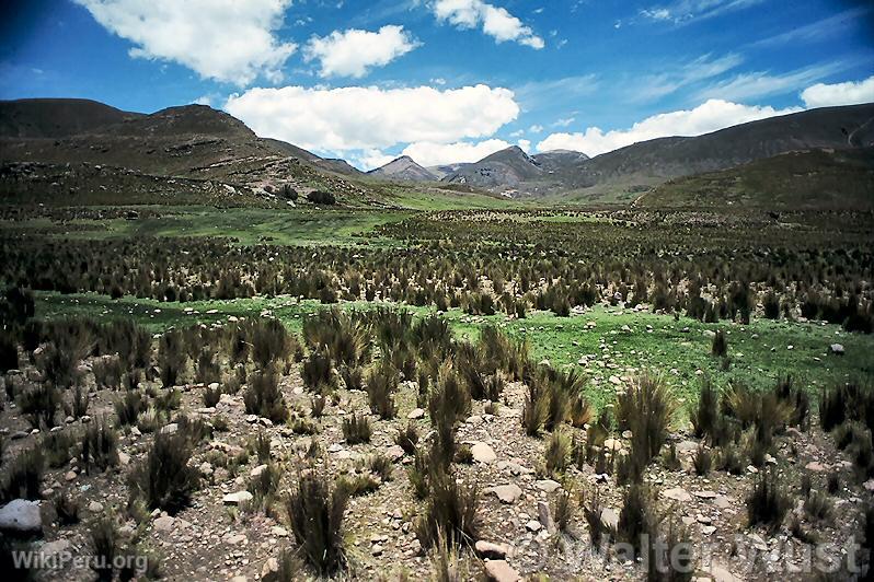 Paysage de Pramo  Huancavelica