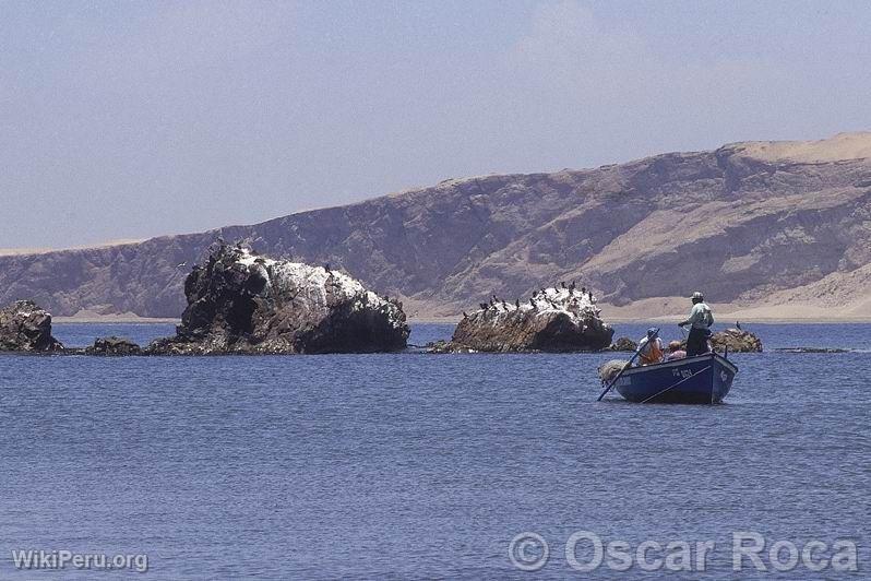 Littoral de Pisco