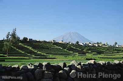 Campagne d'Arequipa