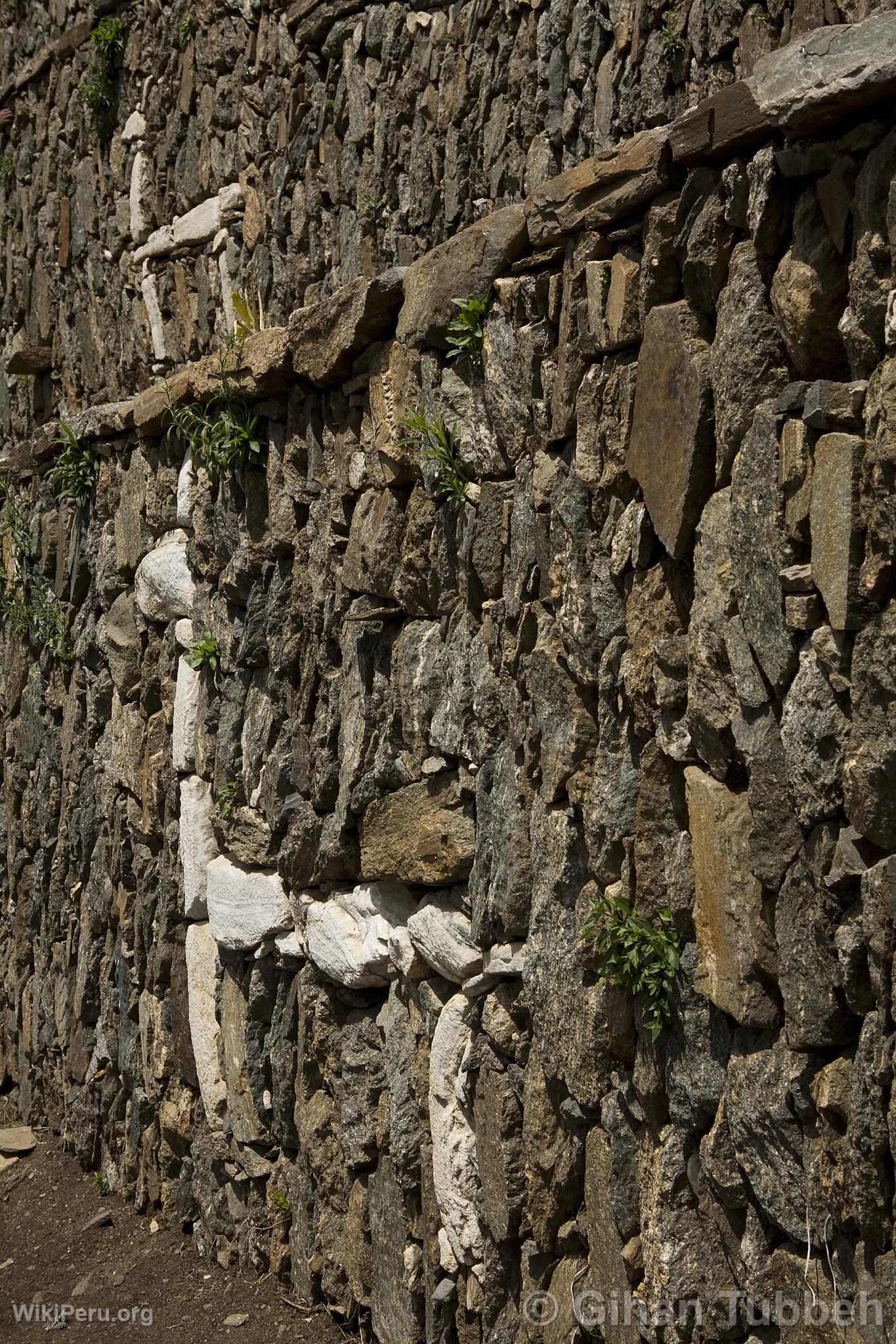 Centre archologique de Choquequirao