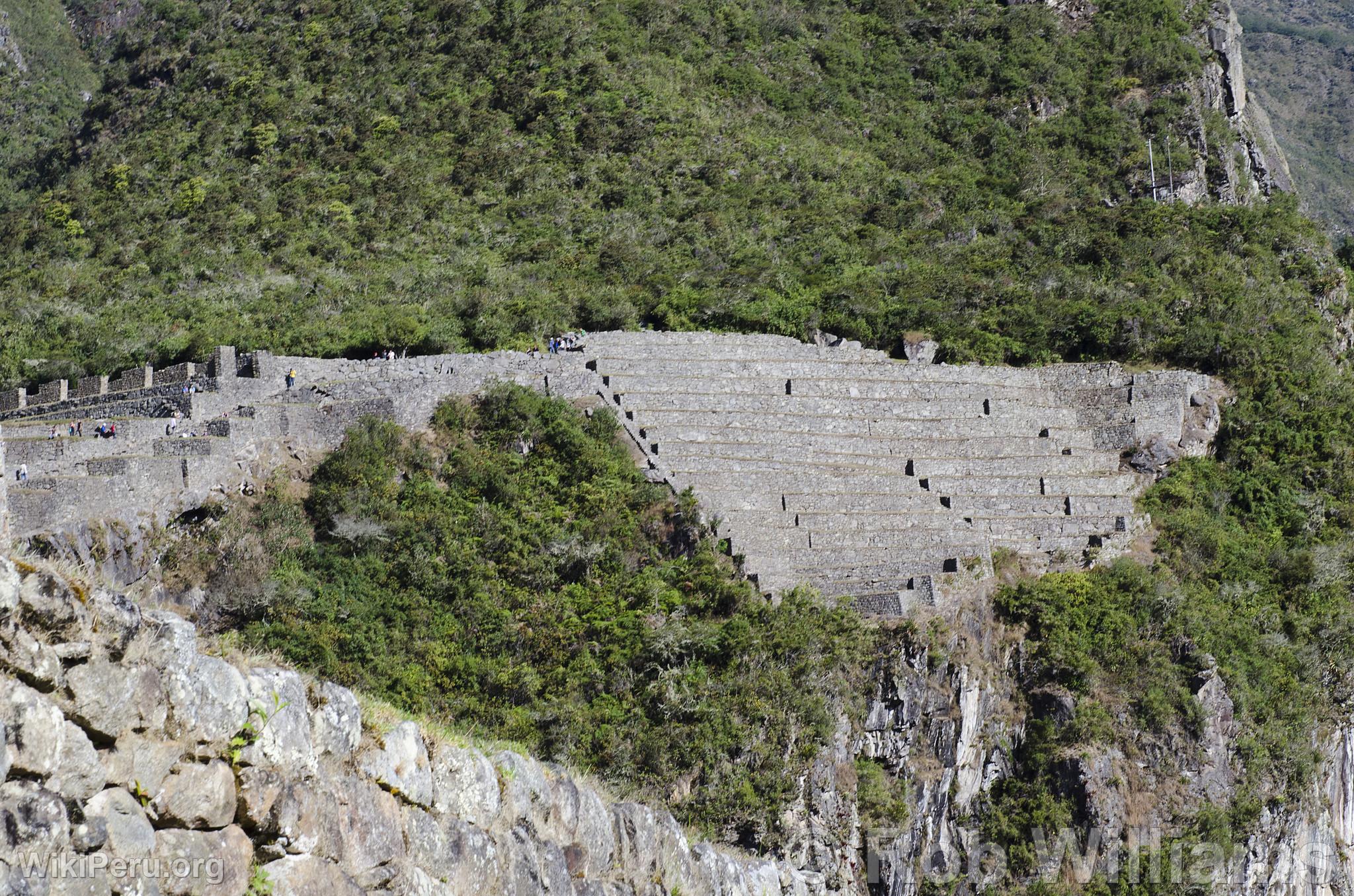 Citadelle de Machu Picchu