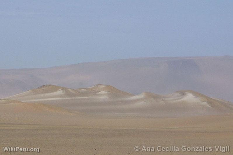 Dunes  Paracas