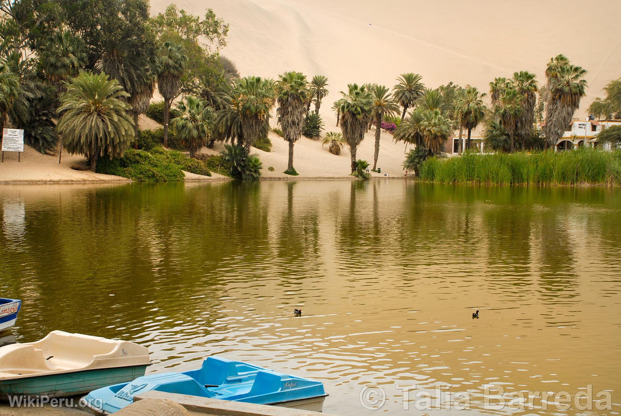 Lagune de Huacachina