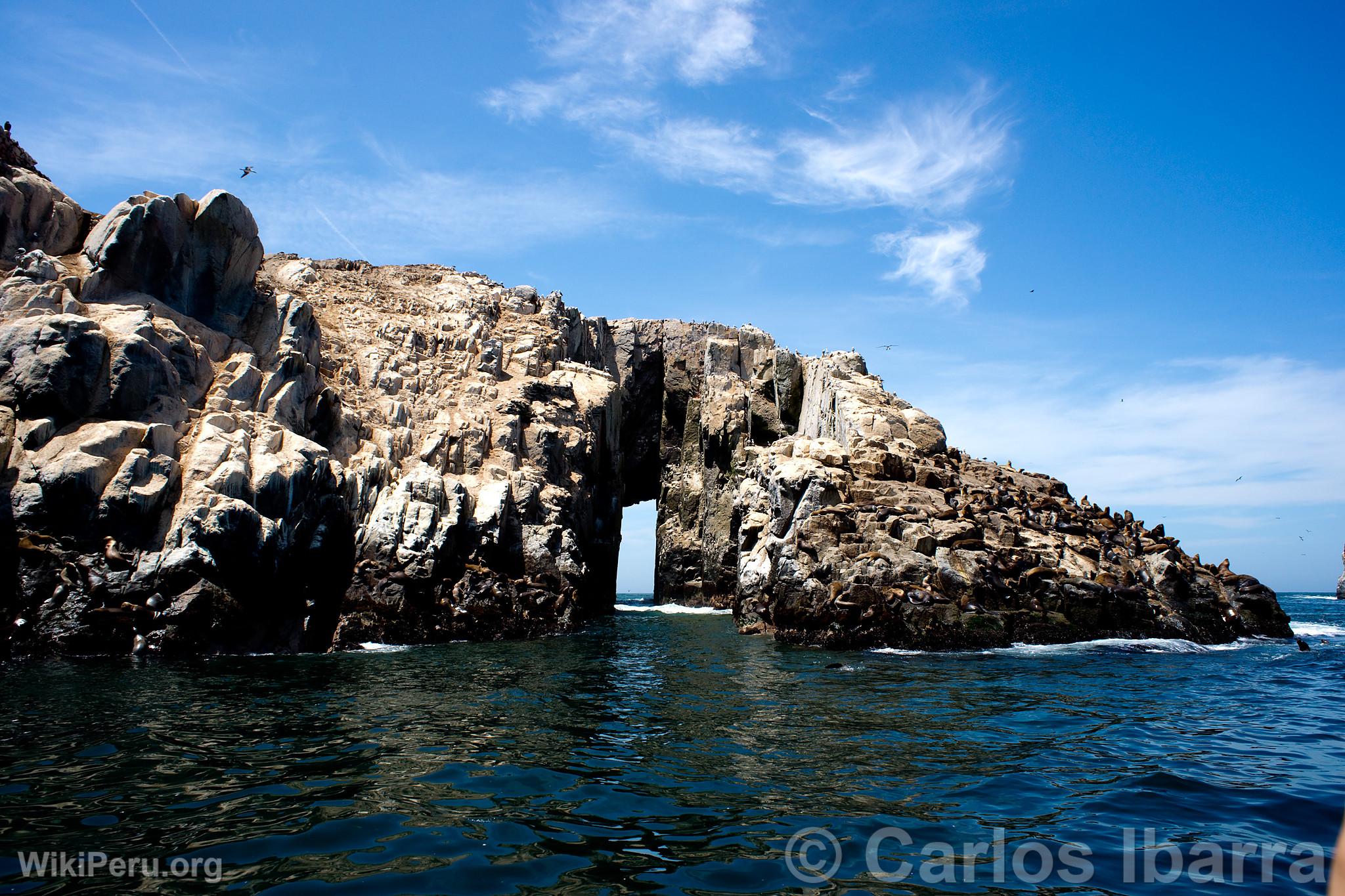 les Palomino, Callao