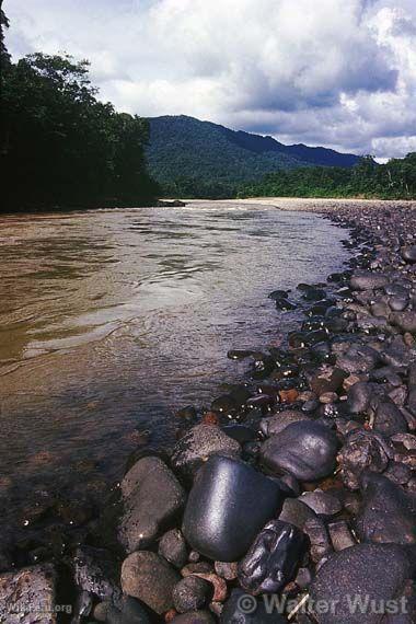 Parc National Bahuaja-Sonene