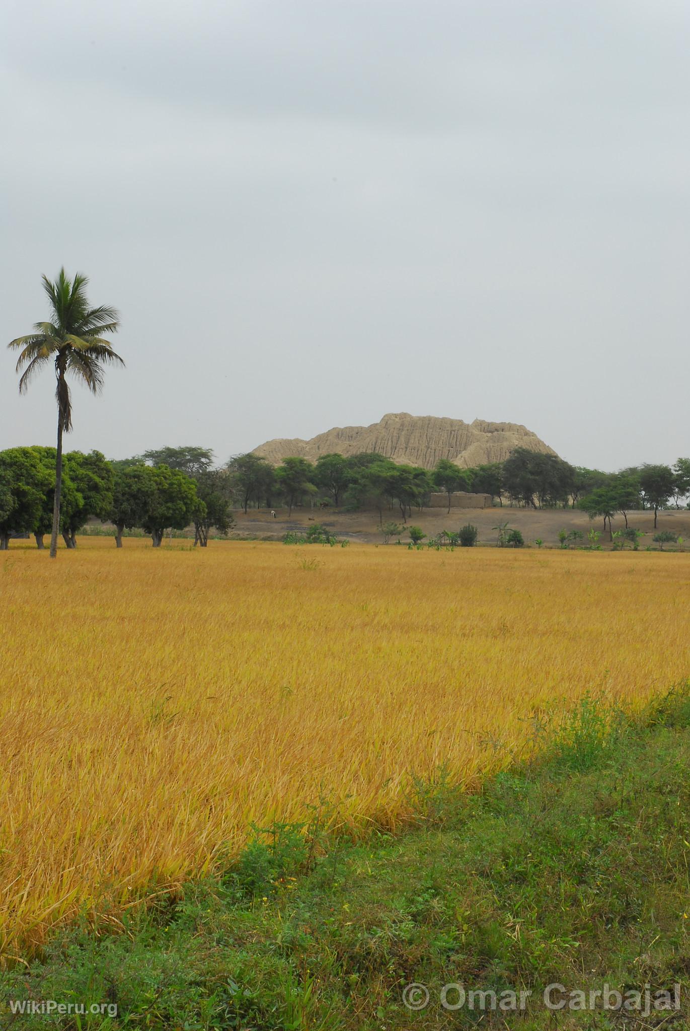 Valle des Pyramides de Tcume