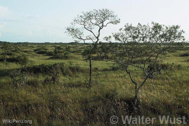 Santuaire National Pampas del Heath