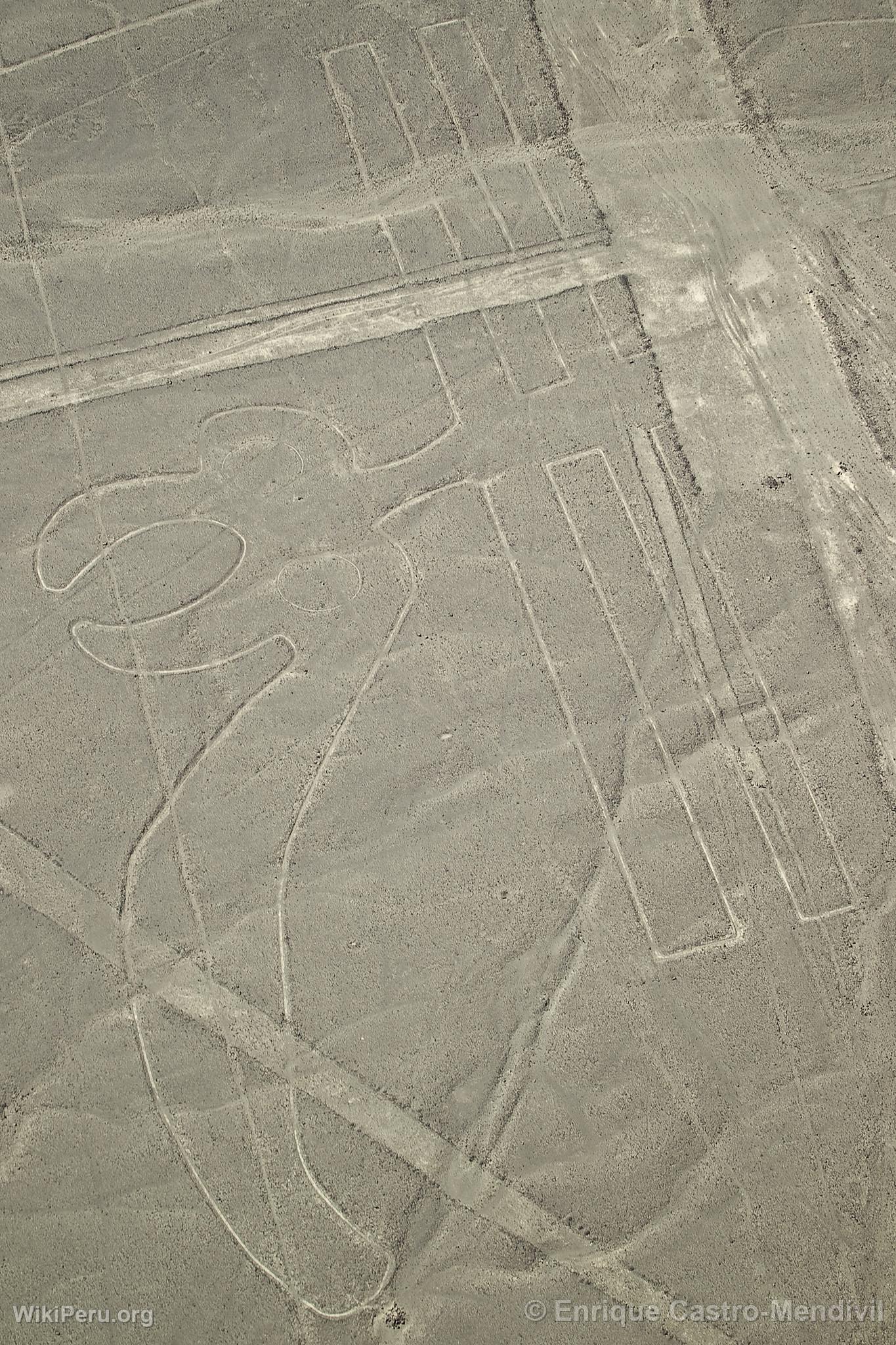 Lignes de Nazca