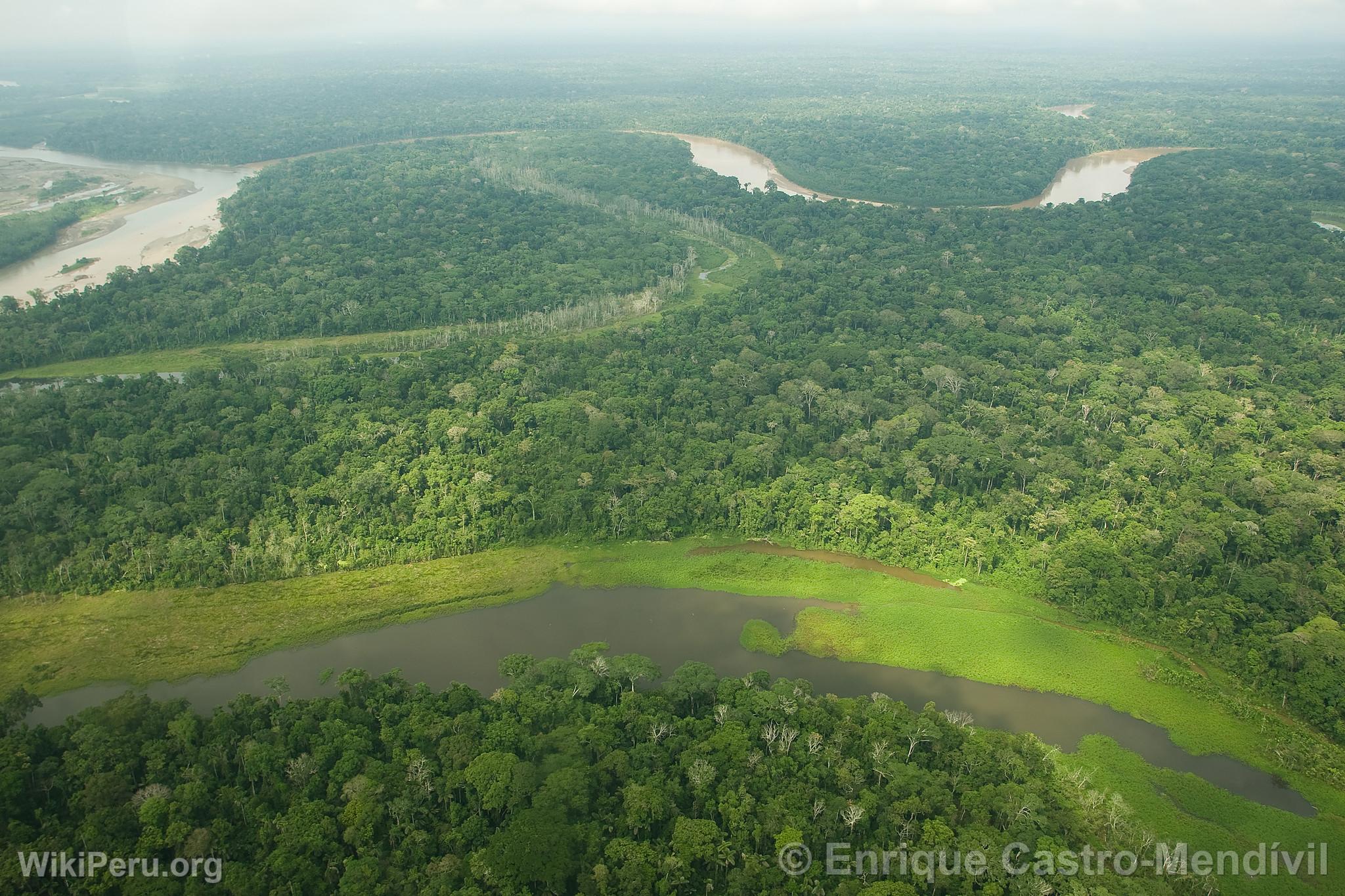 Parc National du Manu