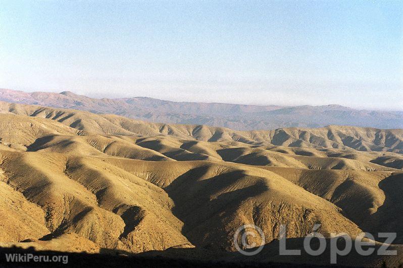 Rserve Nationale de Pampa Galeras, Ayacucho