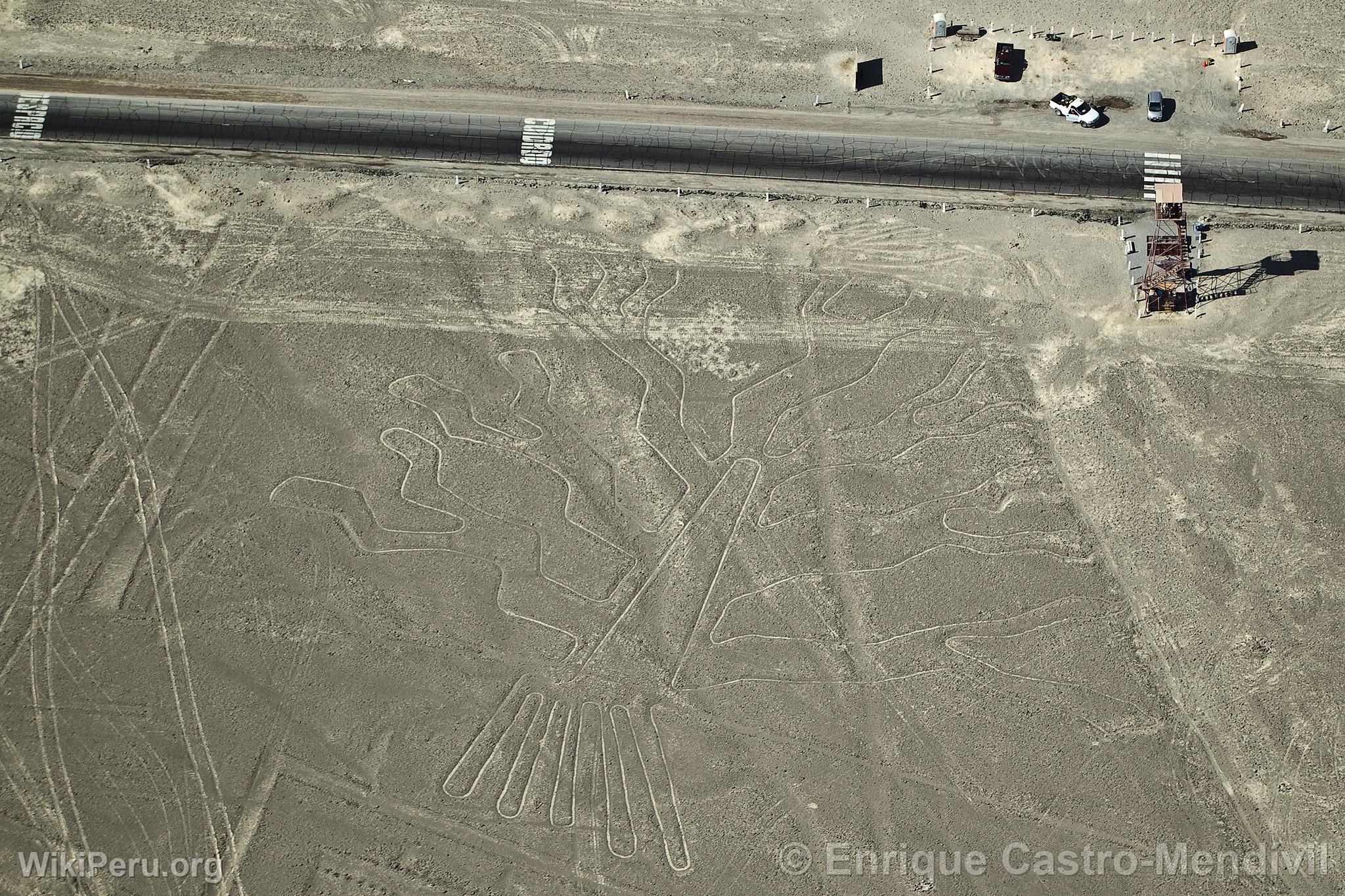 Lignes de Nazca