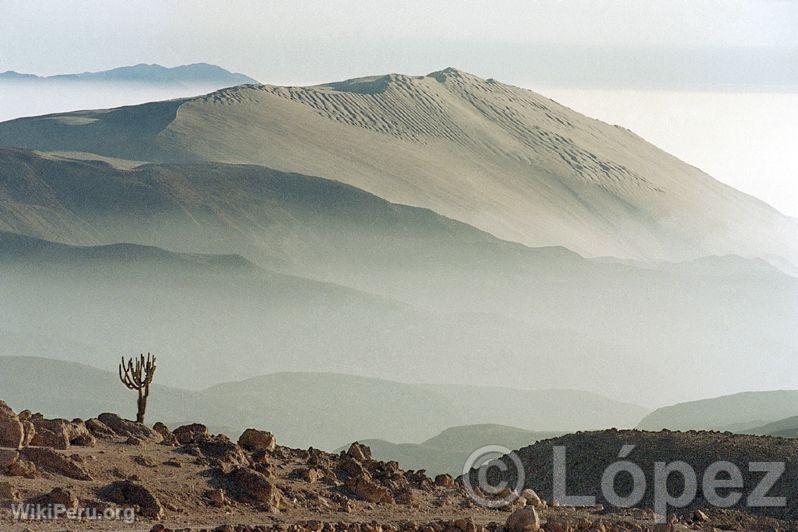 Rserve Nationale de Pampa Galeras, Ayacucho