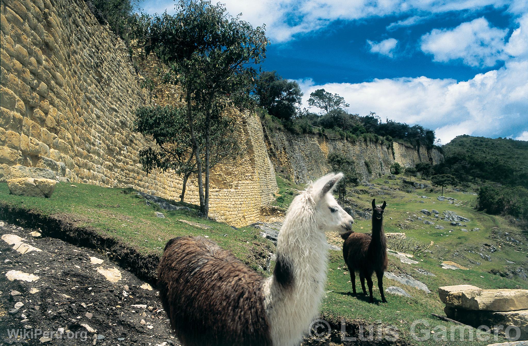 Llamas dans la forteresse de Kulap