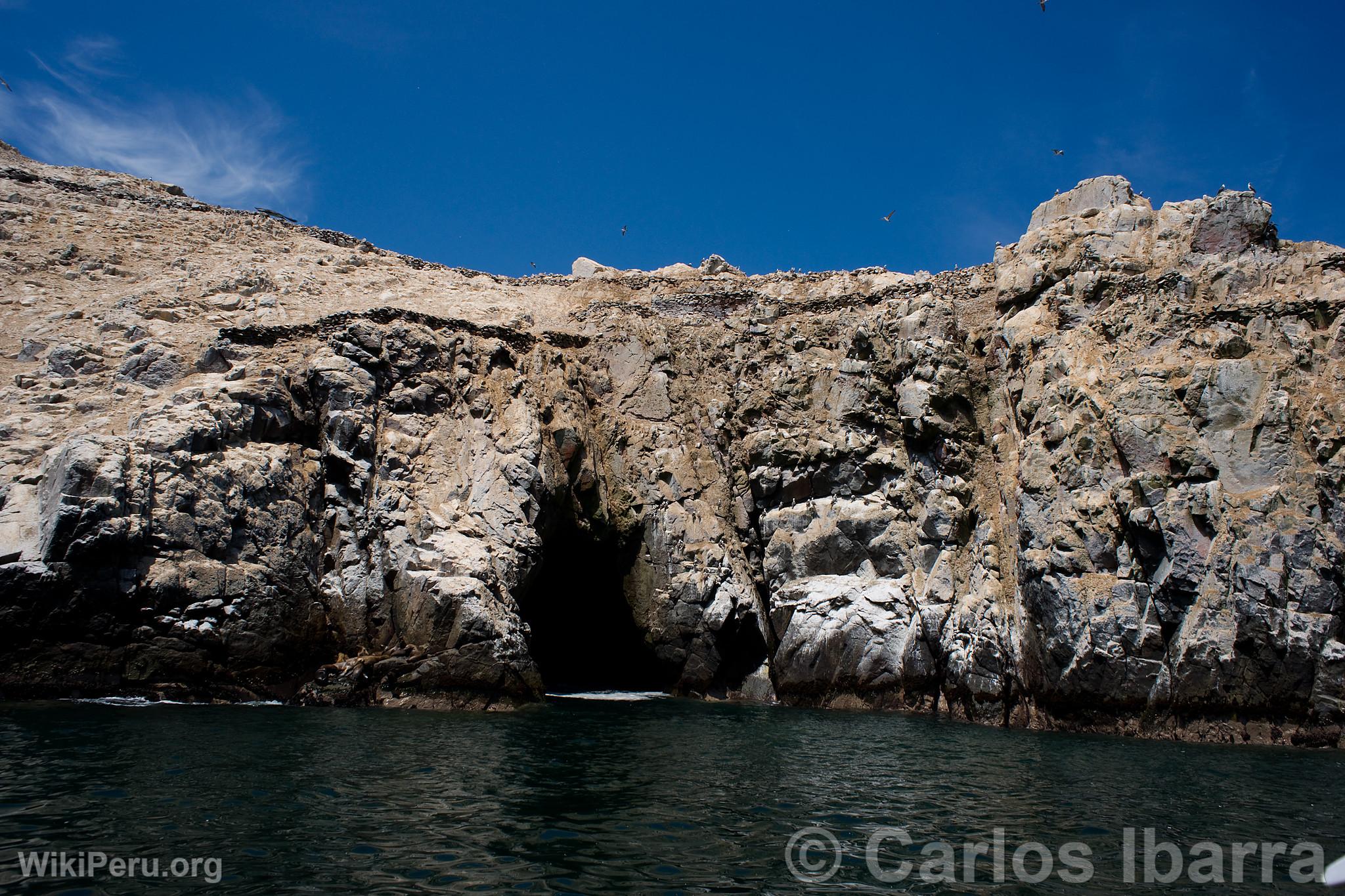 Les les Palomino, Callao