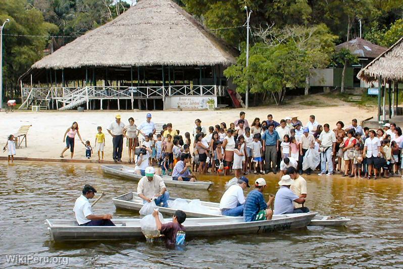 Complexe touristique de Quistococha, Iquitos