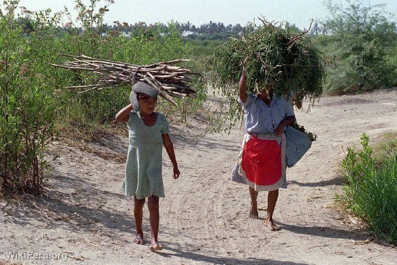 Villageois des environs de Tumbes