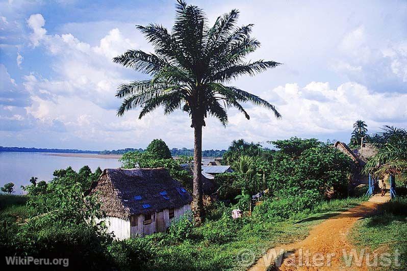 Parc National du Manu