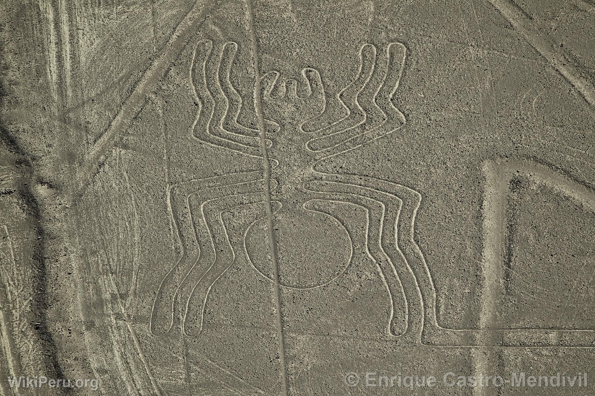 Lignes de Nazca