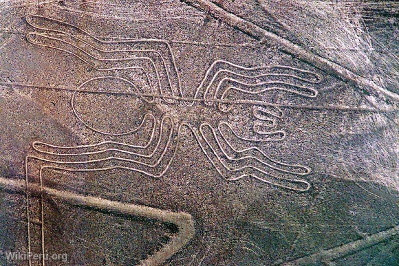 Goglyphe, Nazca