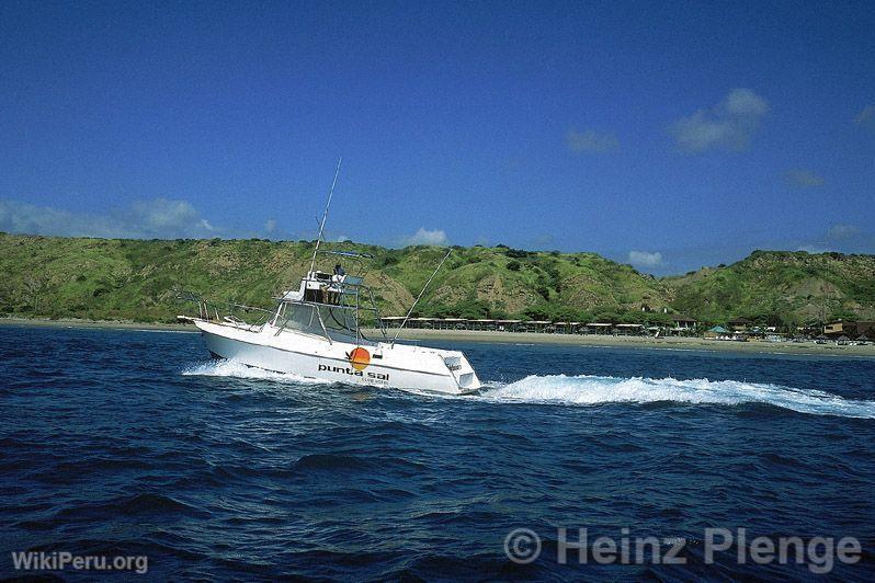 Yacht dans les mangroves