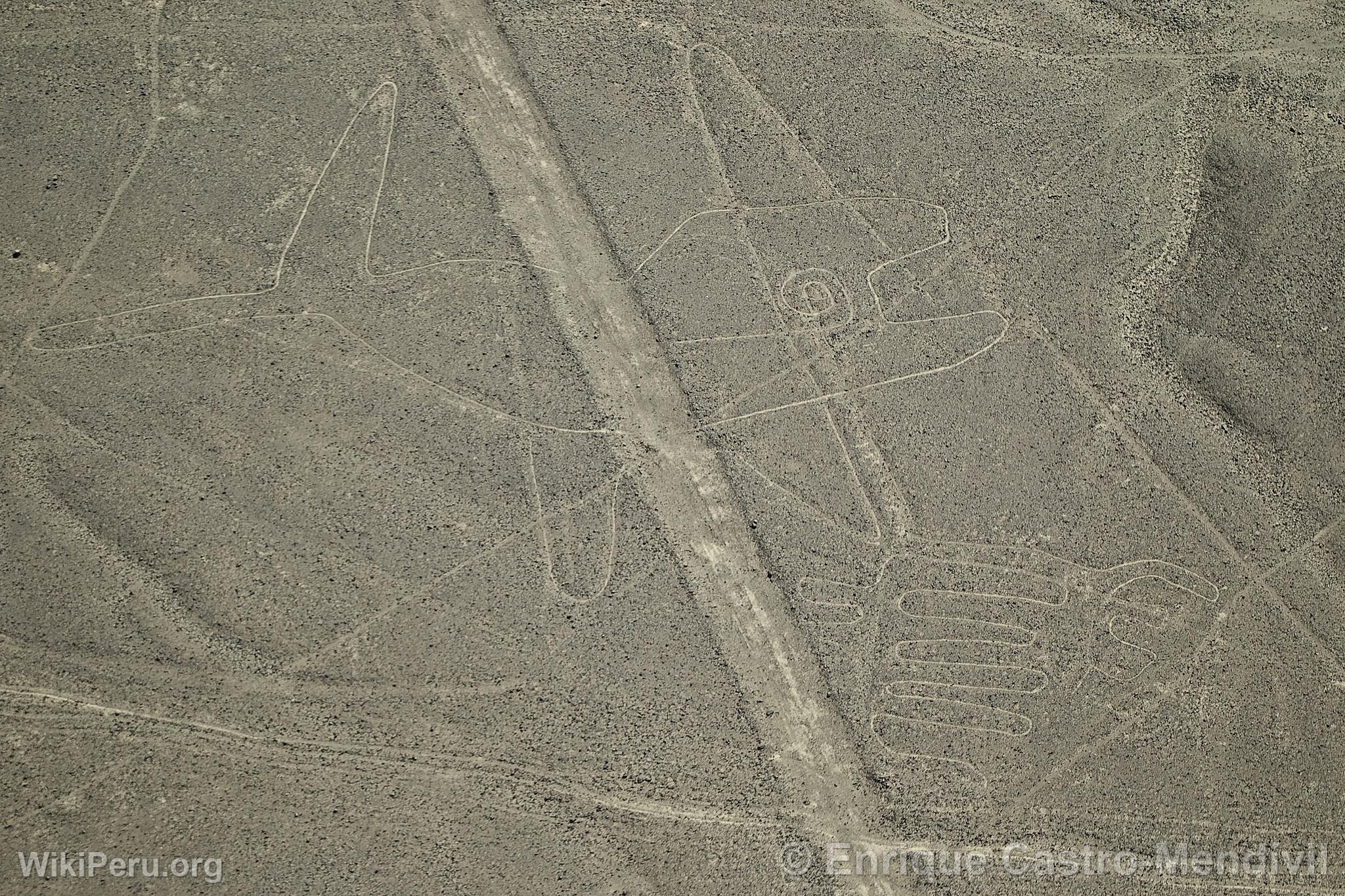 Lignes de Nazca