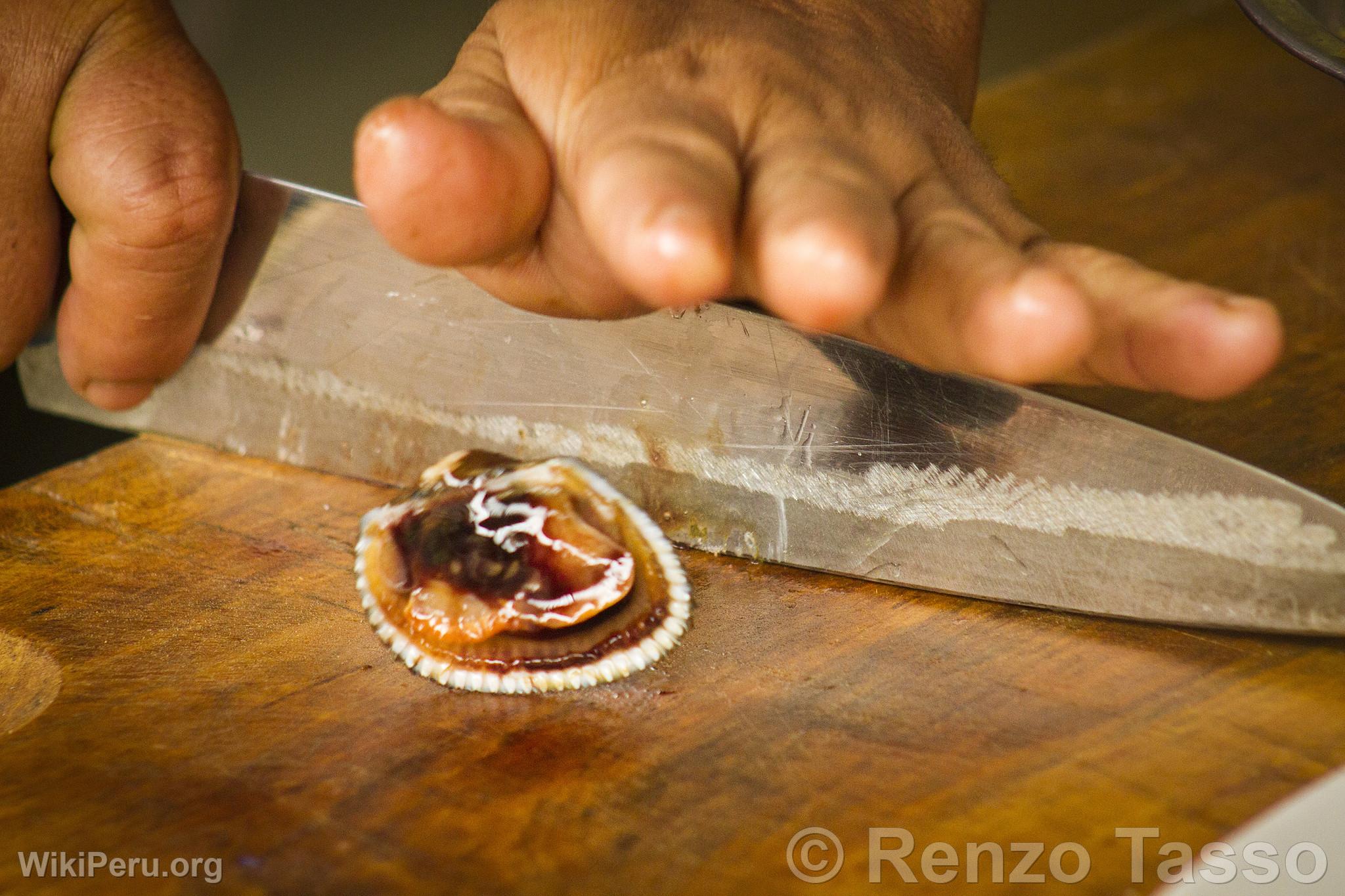 Ceviche de coquilles noires