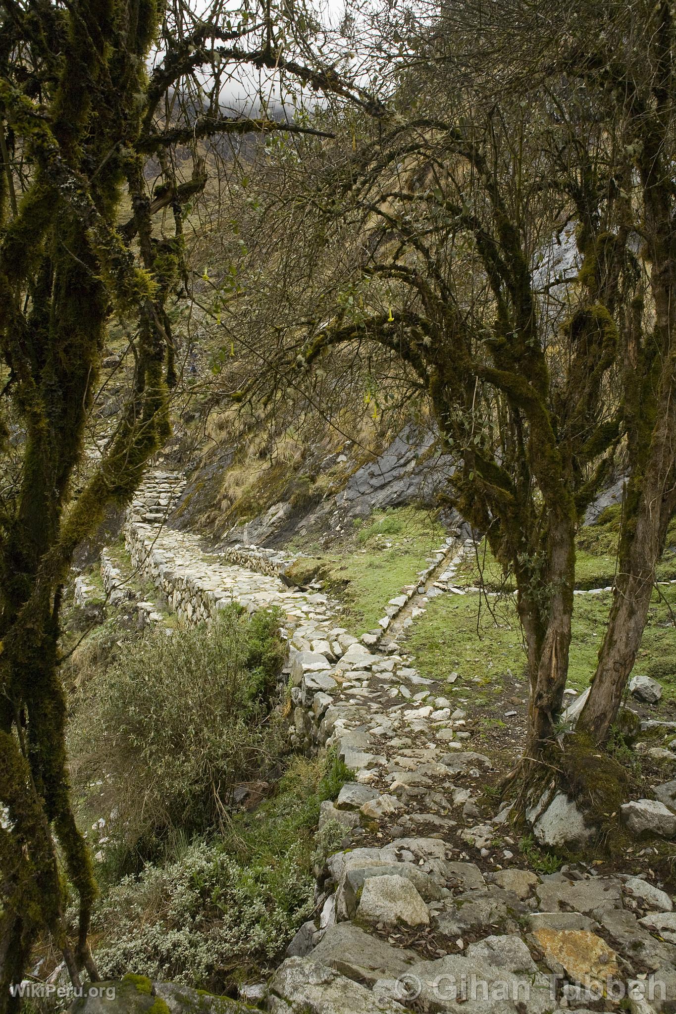 Trekking  Choquequirao