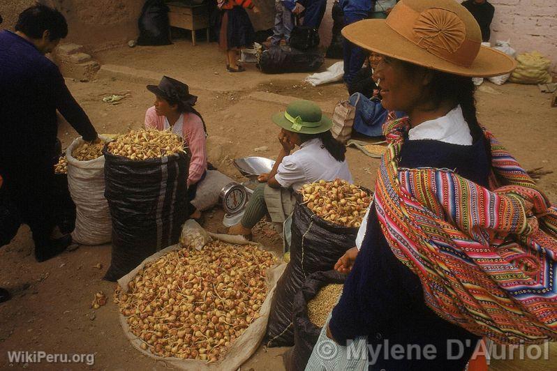 Vendeuses de Maca, Junn