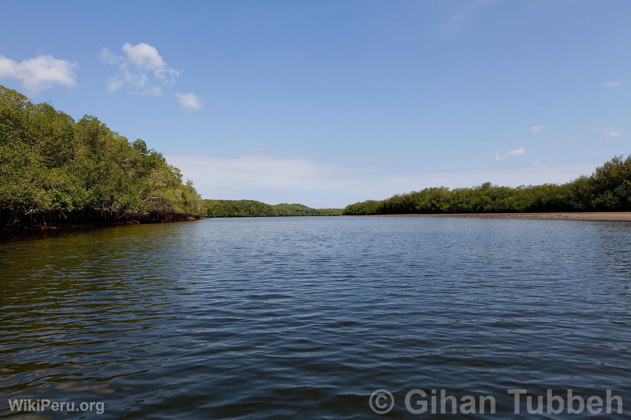 Sanctuaire national des Mangroves de Tumbes