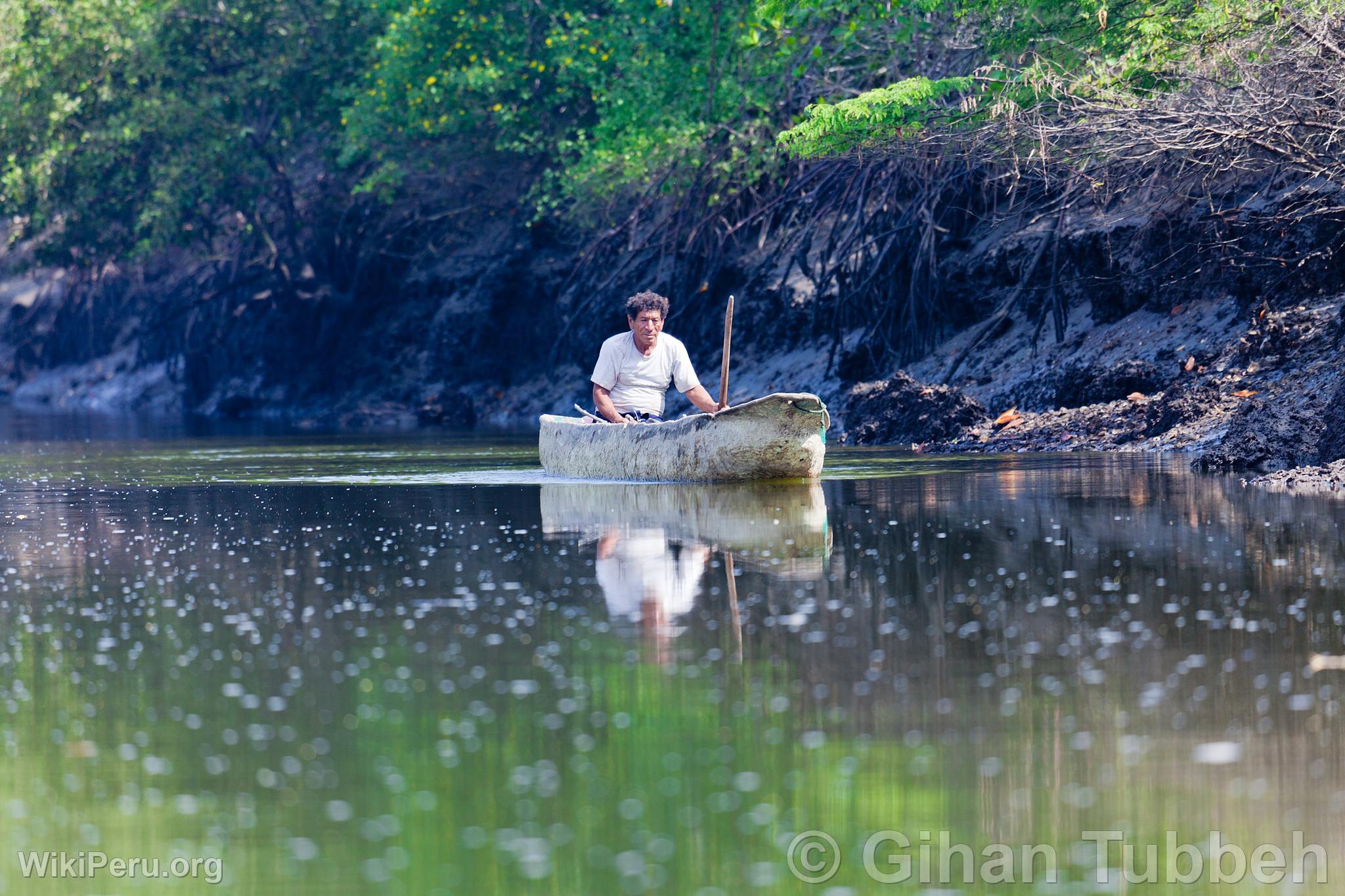 Bateau dans les mangroves de Tumbes